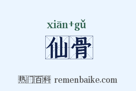 仙骨是什么意思的图片